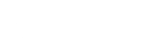 VYBE WORLD